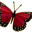 Yılday Gür Boutique logo